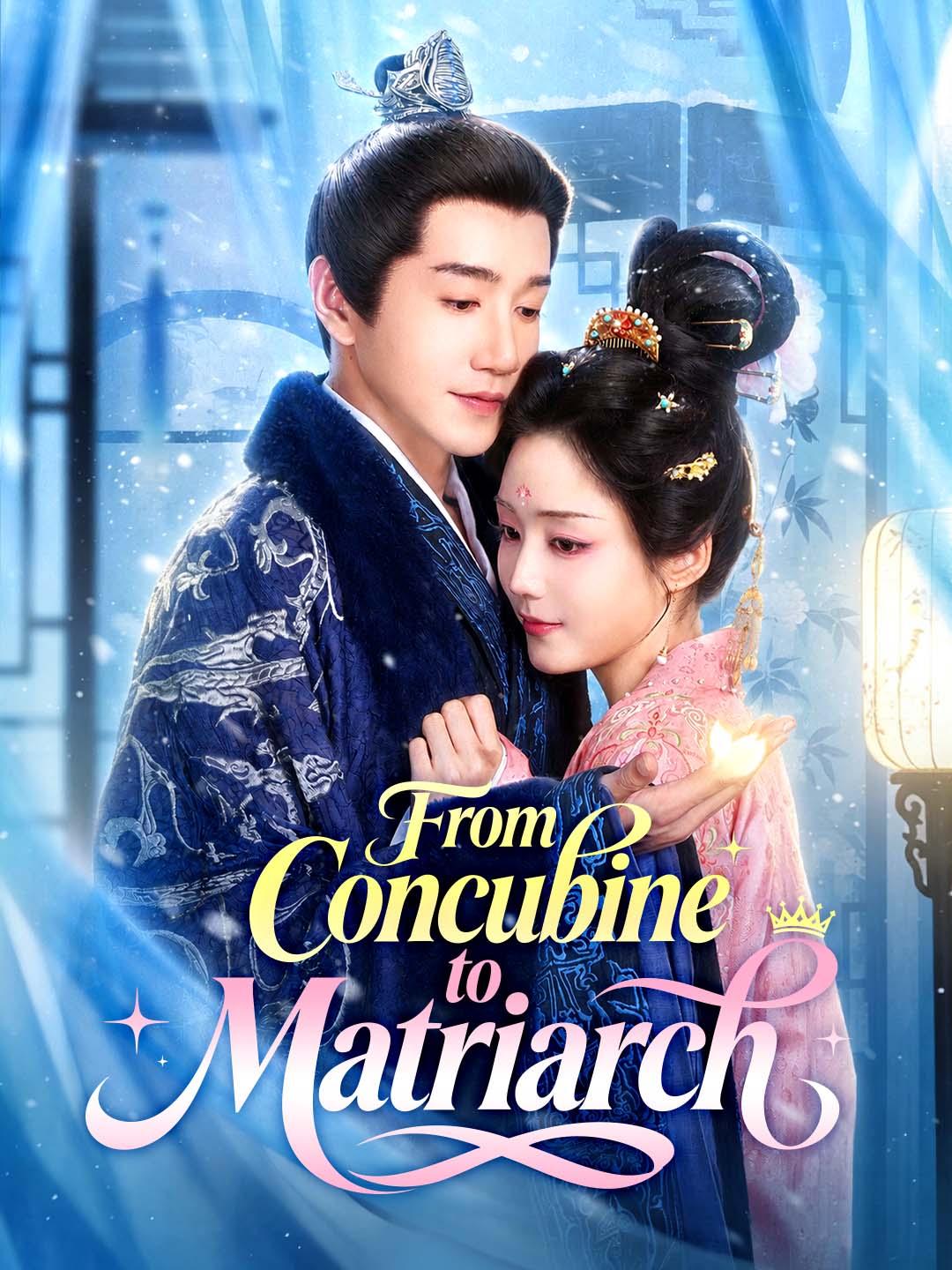 Drama China From Concubine to Matriarch sub Indo - poster